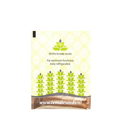 Семена марихуаны Pure AK в оригинальной упаковке