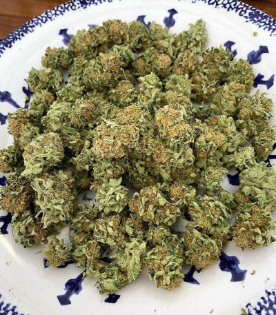 Семена сорта Lemon Tree fem (Barney's Farm)