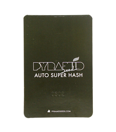 Семена сорта Auto Super Hash fem (Pyramid Seeds)