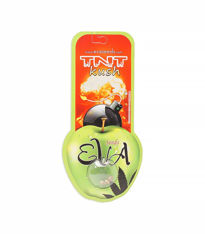 Семена сорта TNT Kush fem