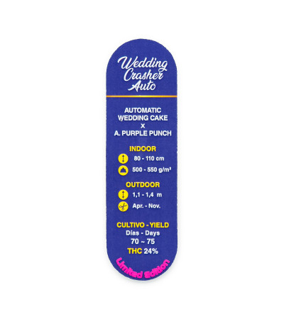 Семена сорта Wedding Crasher Auto fem (7CH Seeds & Advanced Seeds)