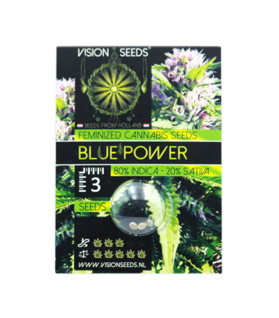 Семена сорта Blue Power fem (Vision Seeds)