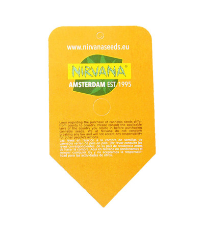 Семена сорта Jock Horror Automatic fem (Nirvana Seeds)