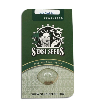 Семена сорта Jack Flash #5 fem (Sensi Seeds)
