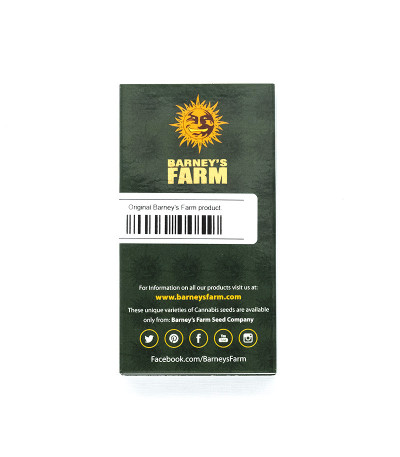 Семена сорта Red Cherry Berry fem