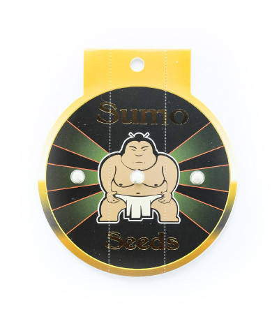 Семена сорта Violet's Wonder Auto fem (Sumo Seeds)