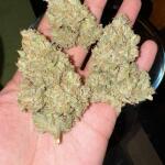 strawberry-pie-auto-fem-fastbuds.jpg