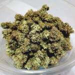 wedding-cake-auto-fem-barneys-farm.jpg