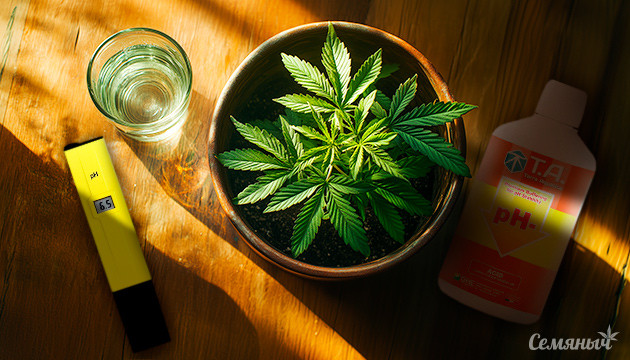 Оптимальный уровень pH для конопли Измерение кислотно-щелочного баланса почвы