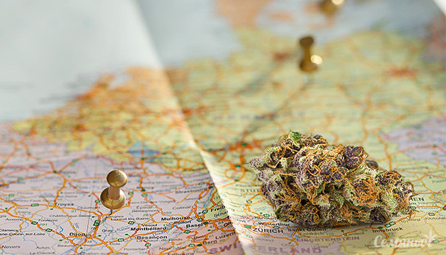 Список стран с лучшей в мире марихуаной