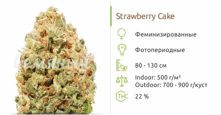 Strawberry Cake от Heavyweight Seeds