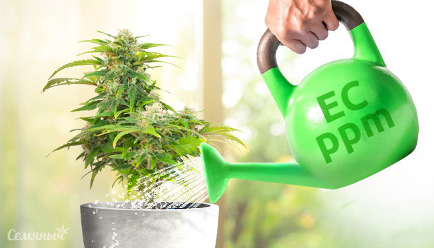 Влияние жесткой воды на коноплю или что такое РРМ